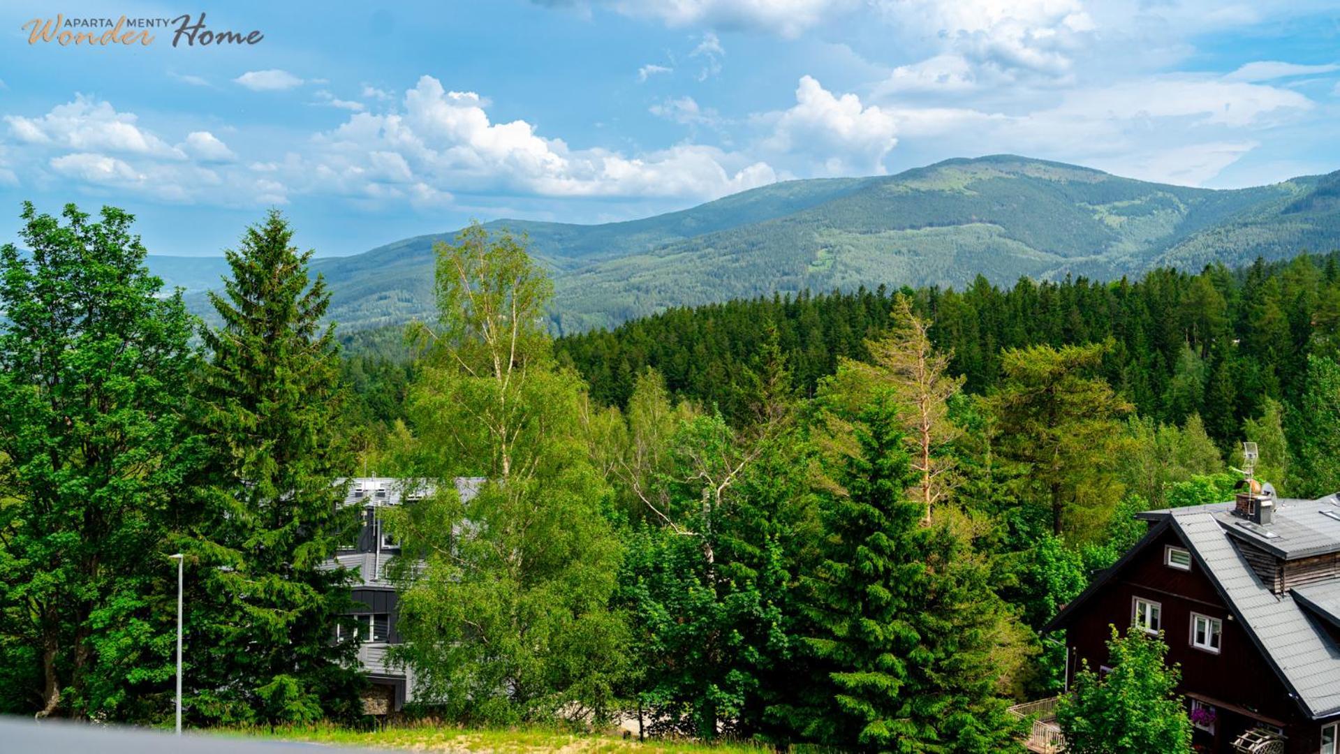 Wonder Home - Orlik Residence - Apartamenty Z Widokiem Na Sniezke, Blisko Wyciagow, Ski Arena I Kosciolka Wang 卡尔帕奇 外观 照片