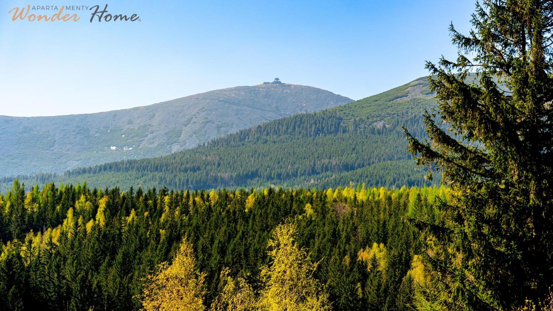 Wonder Home - Orlik Residence - Apartamenty Z Widokiem Na Sniezke, Blisko Wyciagow, Ski Arena I Kosciolka Wang 卡尔帕奇 外观 照片