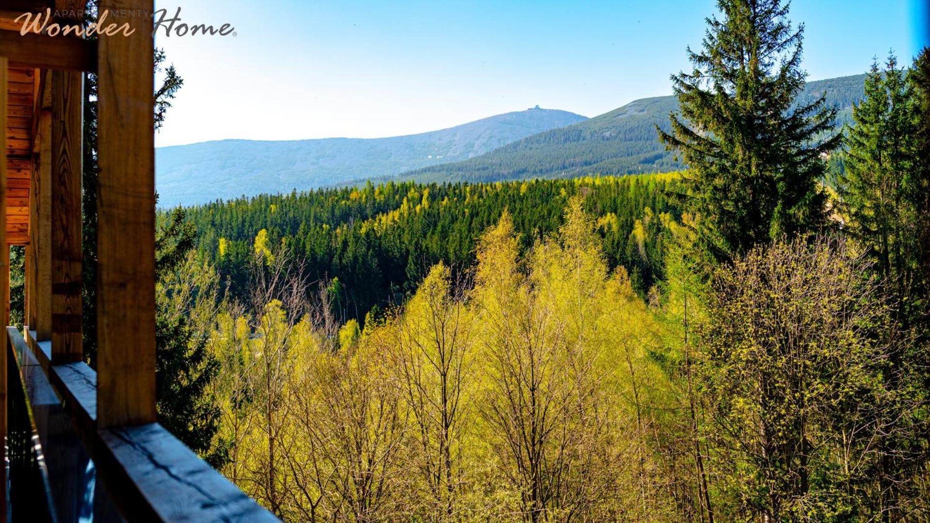 Wonder Home - Orlik Residence - Apartamenty Z Widokiem Na Sniezke, Blisko Wyciagow, Ski Arena I Kosciolka Wang 卡尔帕奇 外观 照片